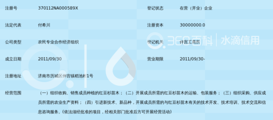 济南市历城区兴农红豆杉种植开发专业合作社 红豆杉种植与销售的专业之路